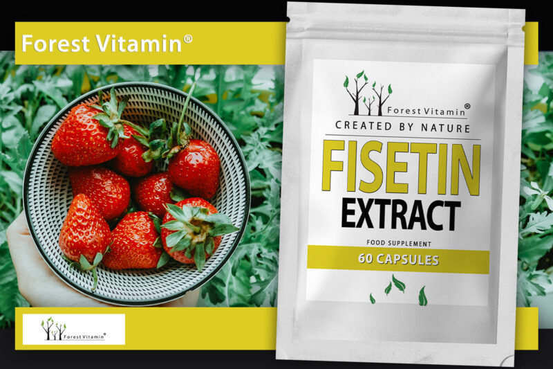 Forest Vitamin® FISETIN Extract 400 mg - 60 Capsules - Image 9