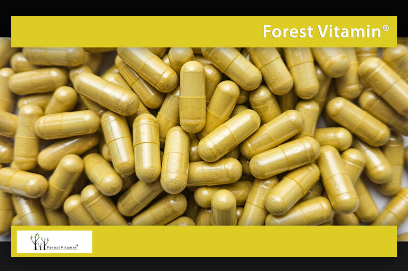 Forest Vitamin® FISETIN Extract 400 mg - 60 Capsules - Image 10