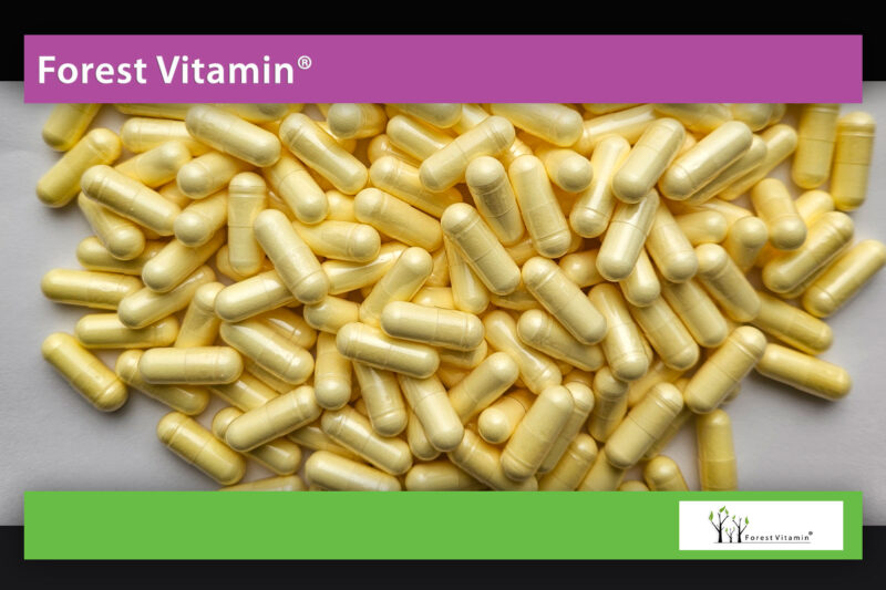 Forest Vitamin® KWAS ALFA LIPONOWY (ALA) 600 mg - 60 Kapsułek - obrazek 9