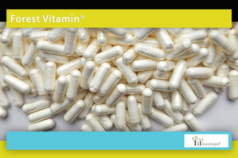Forest Vitamin® L-GLUTAMINE 500 mg - 100 Capsules - Image 10