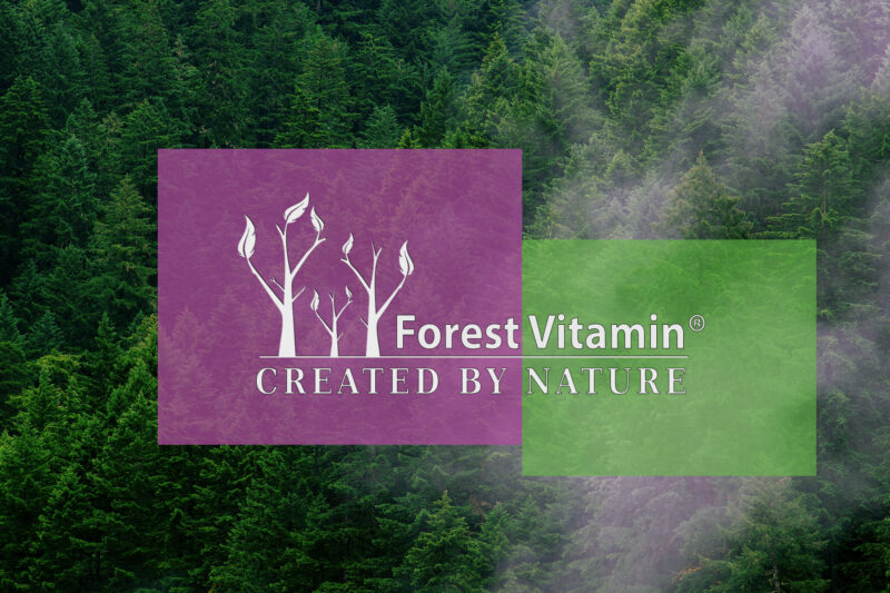 Forest Vitamin® KWAS ALFA LIPONOWY (ALA) 600 mg - 60 Kapsułek - obrazek 4