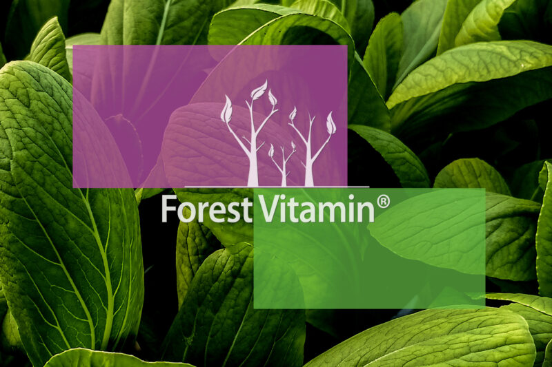 Forest Vitamin® KWAS ALFA LIPONOWY (ALA) 600 mg - 60 Kapsułek - obrazek 10