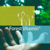 Forest Vitamin® L-GLUTAMINE 500 mg - 100 Capsules - Image 11