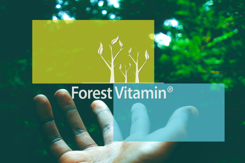 Forest Vitamin® L-GLUTAMINE 500 mg - 100 Capsules - Image 11