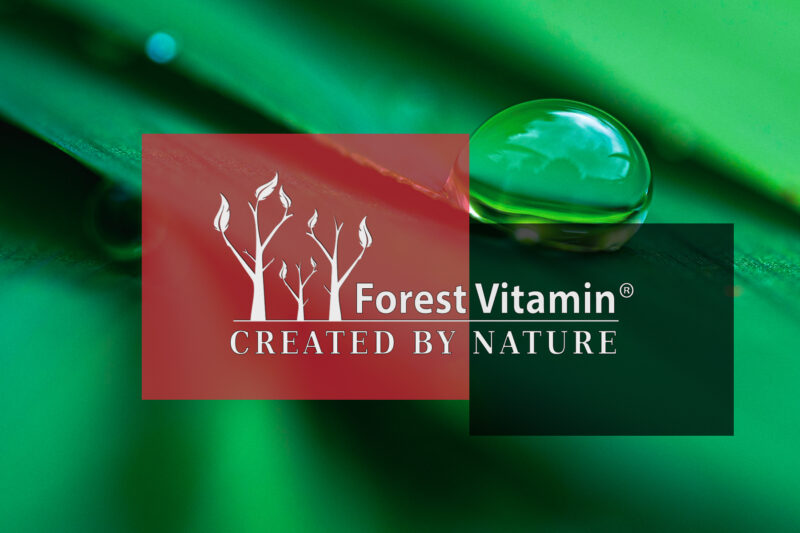 Forest Vitamin® APIGENINA 98% 200 mg - 60 Kapsułek - obrazek 5