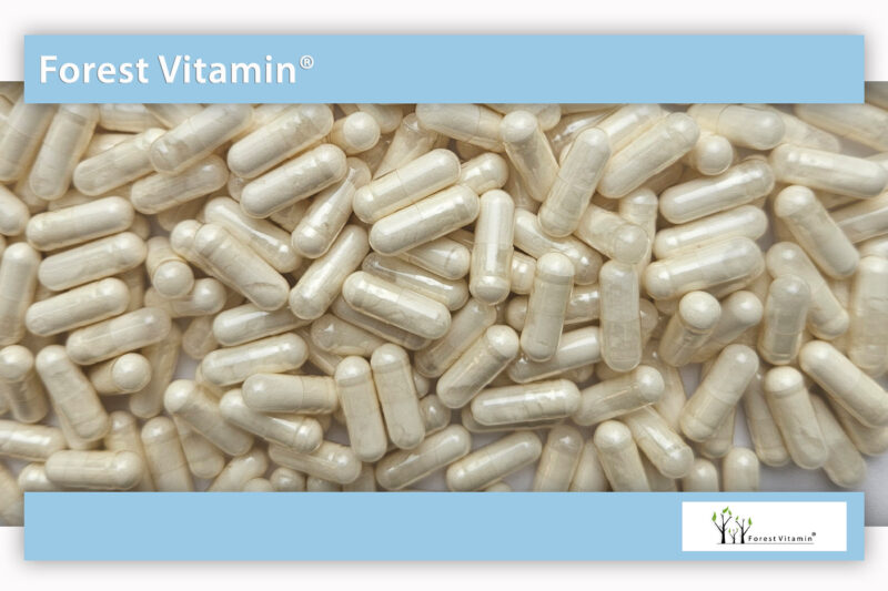 Forest Vitamin® SPERMIDYNA - 60 Kapsułek - obrazek 10
