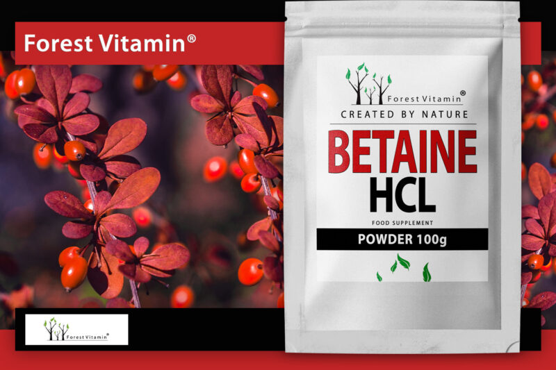 Forest Vitamin® BETAINA HCL - Proszek - obrazek 9