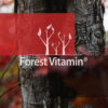 Forest Vitamin® BETAINA HCL - Proszek - obrazek 11