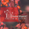 Forest Vitamin® BETAINA HCL - Proszek - obrazek 4