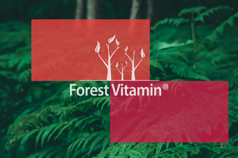 Forest Vitamin® ACEROLA + ROSEHIP - 100 Capsules - Image 12