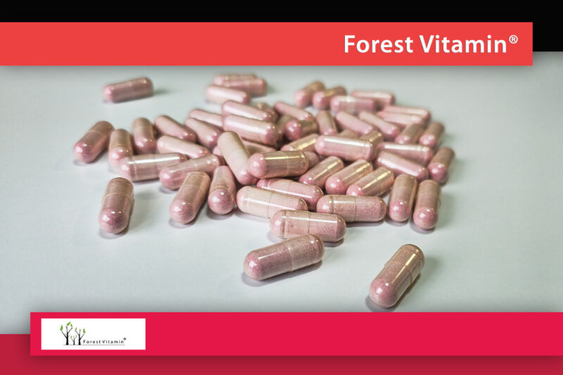 Forest Vitamin® ACEROLA + ROSEHIP - 100 Capsules - Image 11