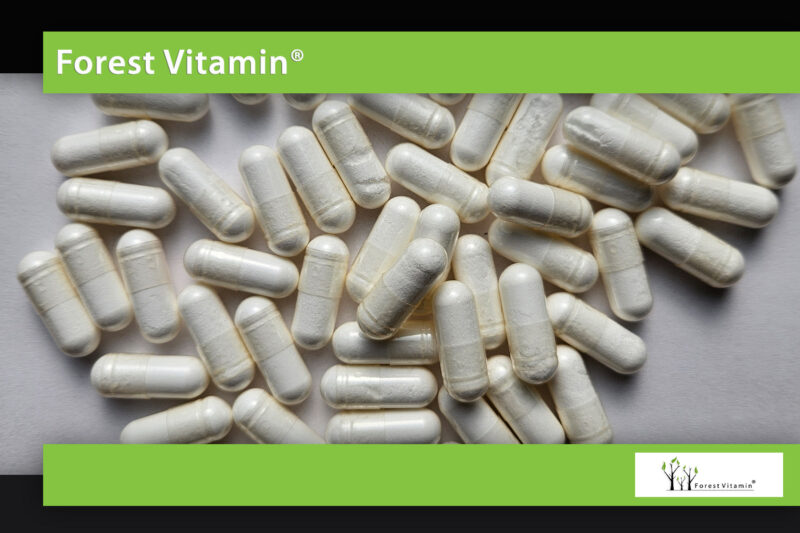 Forest Vitamin® CYTRULINA  (Jabłczan Cytruliny) 1000 mg - 100 Kapsułek - obrazek 10
