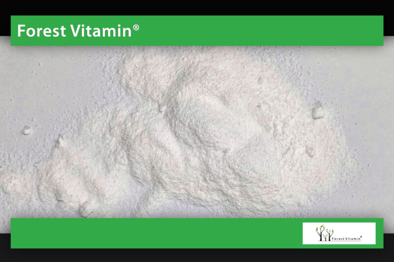Forest Vitamin® NAD+ 25 gram w Proszku - obrazek 9