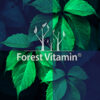 Forest Vitamin® GABA 250 grams in Powder - Image 10