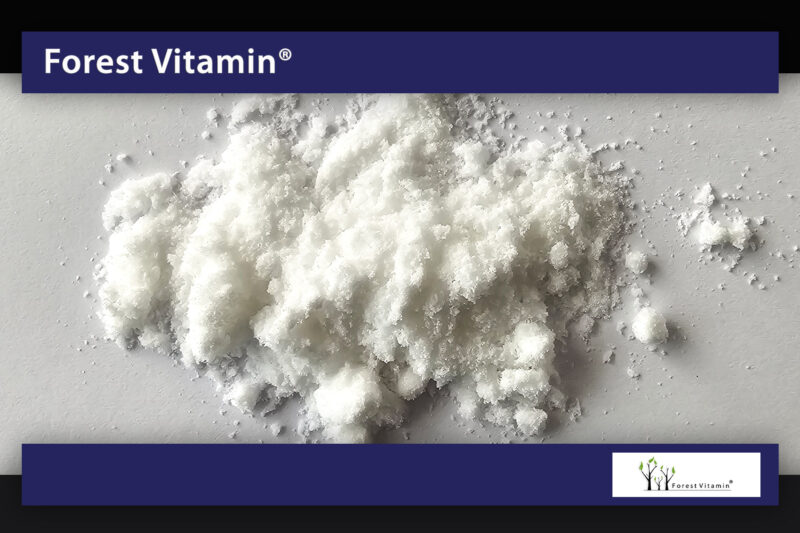 Forest Vitamin® GABA 250 gram w Proszku - obrazek 9
