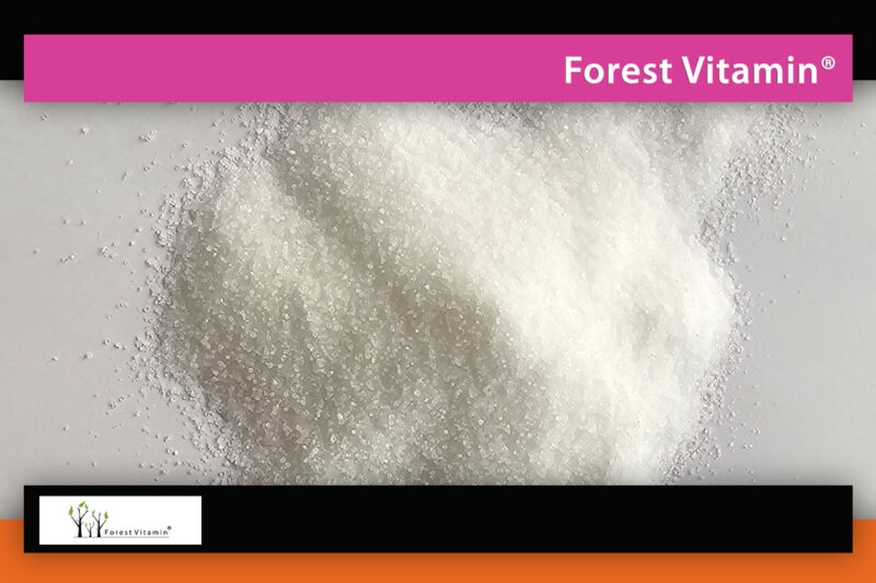 Forest Vitamin® L-KARNITYNA (L-WINIAN) - 250 gram w Proszku - obrazek 8