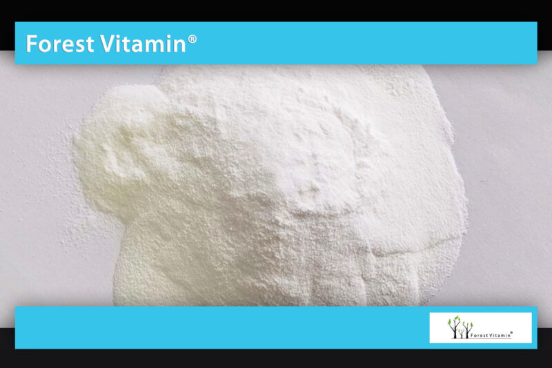 Forest Vitamin® Chondroityna 100 gram w Proszku - obrazek 9