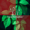 Forest Vitamin® L-Arginine 500 mg - 100 Capsules - Image 11