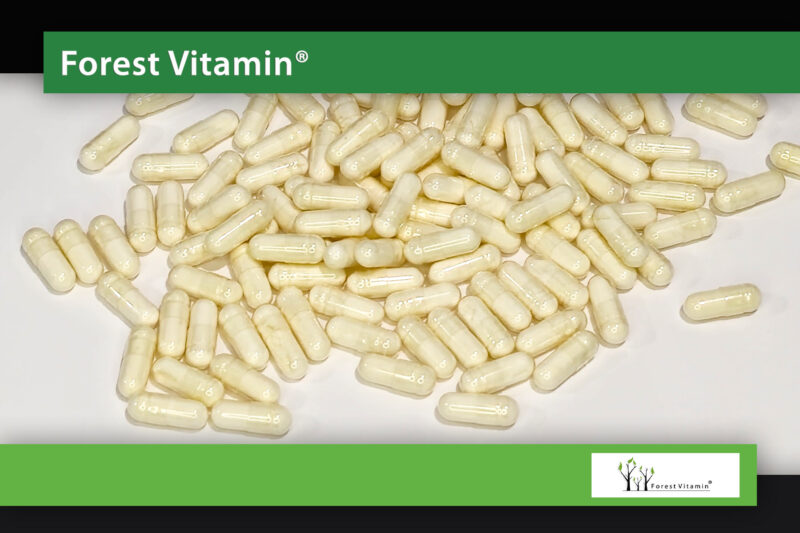 Forest Vitamin® Sulforafan 400 µg - 100 Kapsułek - obrazek 9
