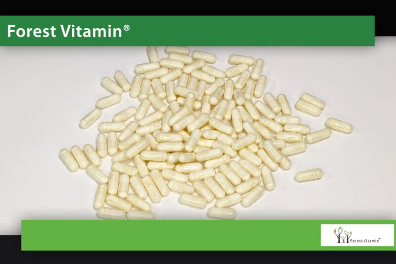 Forest Vitamin® Sulforafan 400 µg - 100 Kapsułek - obrazek 9