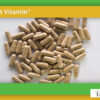 Forest Vitamin® Żeń-Szeń + Miłorząb Ekstrakt - 60 Kapsułek - obrazek 10
