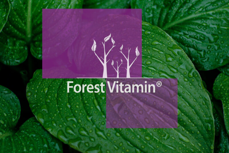 Forest Vitamin® Melatonina 1 mg - 180 Tabletek - obrazek 8