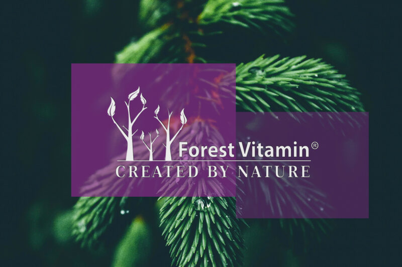 Forest Vitamin® Melatonina 1 mg - 180 Tabletek - obrazek 4