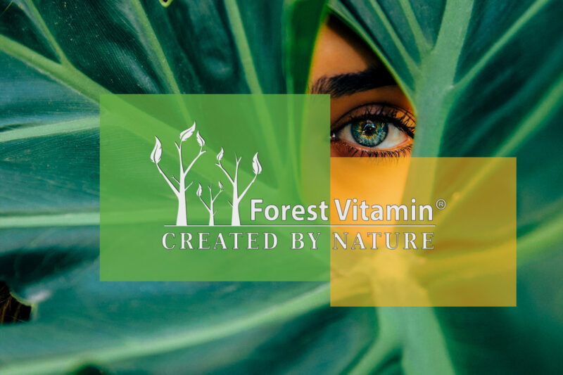 Forest Vitamin® Luteina + Zeaksantyna - 60 Kapsułek - obrazek 4