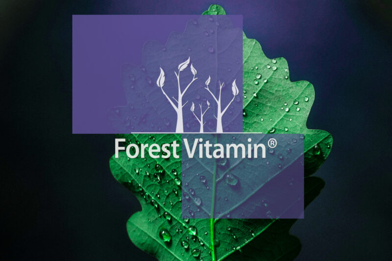 Forest Vitamin® Magnez Chelatowany - 500 gram w Proszku - obrazek 9