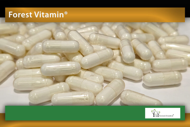 Forest Vitamin® B17 Extract from Bitter Apricot Seeds – 100 Capsules - Image 9