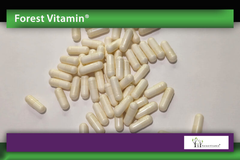 Forest Vitamin® Diindolylmethane (DIM) 200 mg – 60 Capsules - Image 9