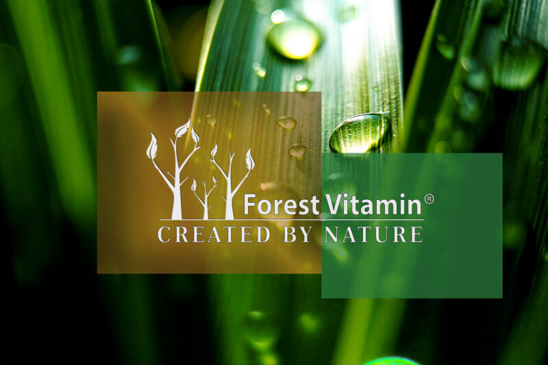 Forest Vitamin® B17 Extract from Bitter Apricot Seeds – 100 Capsules - Image 4