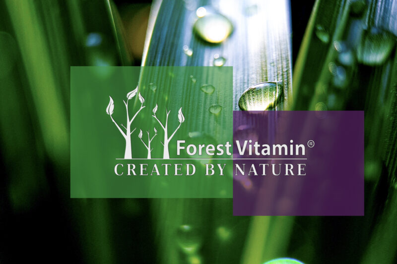 Forest Vitamin® Diindolylmethane (DIM) 200 mg – 60 Capsules - Image 4