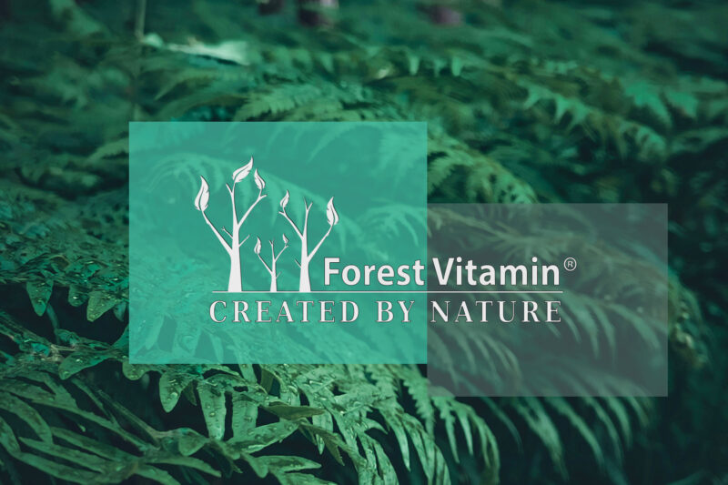 Forest Vitamin® L-Glutation Zredukowany 500 mg - 60 Kapsułek - obrazek 4