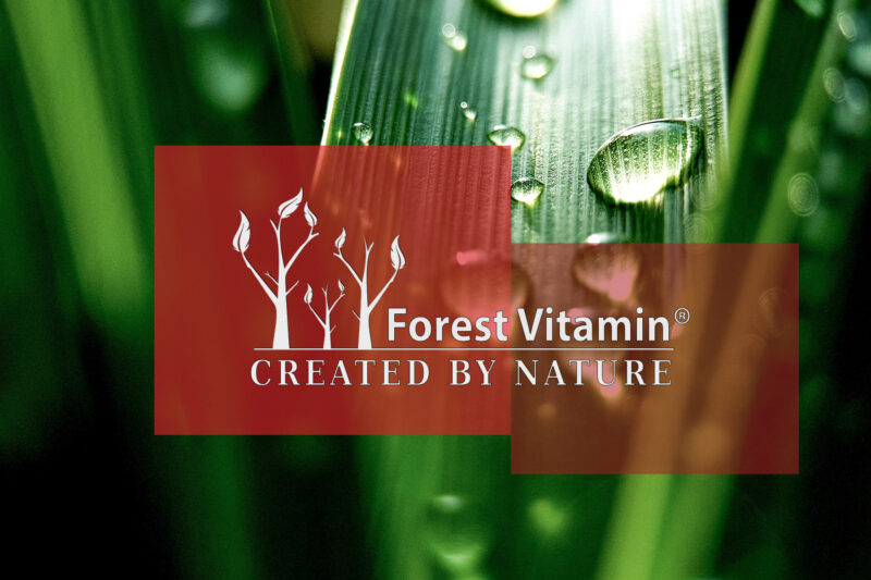 Forest Vitamin® Puste kapsułki żelatynowe Rozmiar 1 - obrazek 3