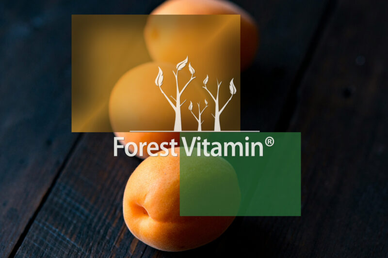 Forest Vitamin® B17 Extract from Bitter Apricot Seeds – 100 Capsules - Image 10
