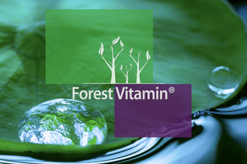 Forest Vitamin® Diindolylmethane (DIM) 200 mg – 60 Capsules - Image 10