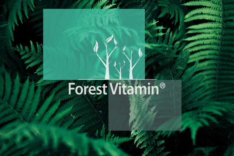 Forest Vitamin® L-Glutation Zredukowany 500 mg - 60 Kapsułek - obrazek 10