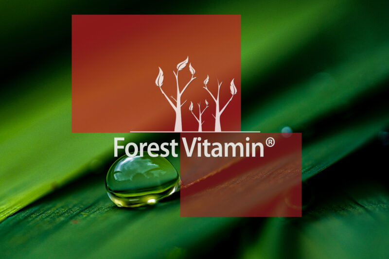 Forest Vitamin® Puste kapsułki żelatynowe Rozmiar 1 - obrazek 7