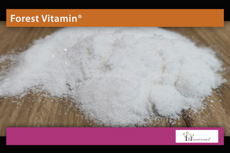 Forest Vitamin® 100% L-Carnitine 1000 mg – 250 grams in Powder Form - Image 9