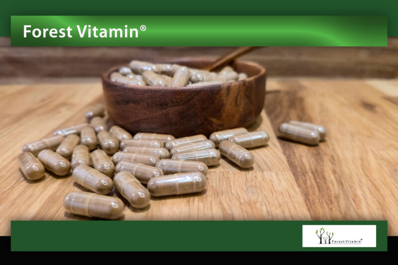 Forest Vitamin® Gotu Kola Wąkrotka Azjatycka Ekstrakt 500 mg - 100 Kapsułek - obrazek 9