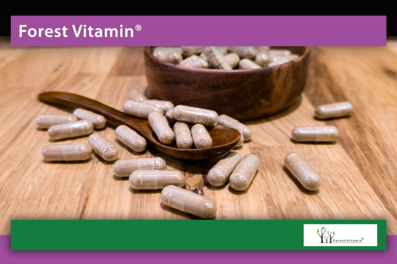 Forest Vitamin® Chaste Tree Extract 500 mg - 100 Capsules - Image 9