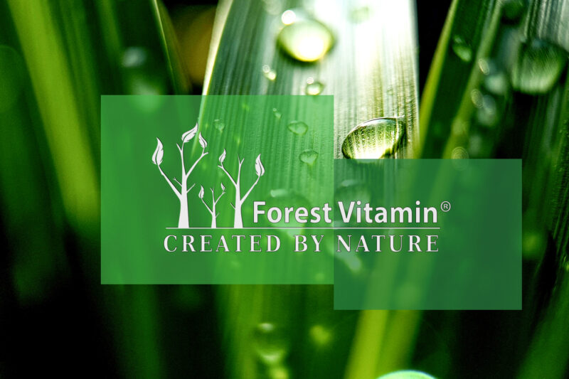 Forest Vitamin® Puste kapsułki Wegańskie HPMC  Rozmiar 0 - obrazek 3