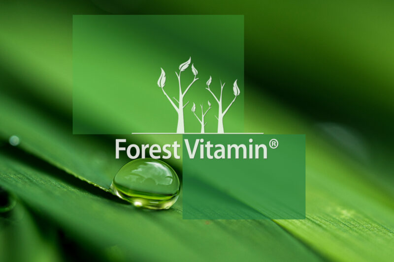 Forest Vitamin® Puste kapsułki Wegańskie HPMC  Rozmiar 0 - obrazek 7