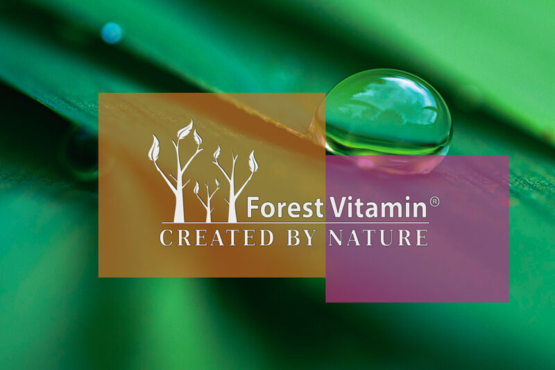 Forest Vitamin® 100% L-Carnitine 1000 mg – 250 grams in Powder Form - Image 4