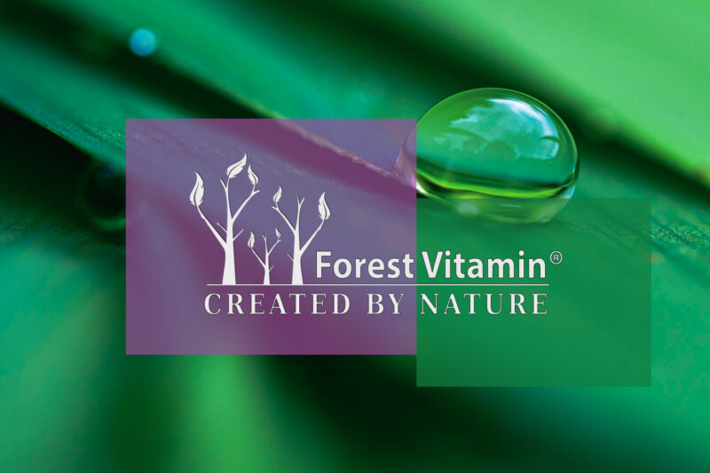 Forest Vitamin® Chaste Tree Extract 500 mg - 100 Capsules - Image 4