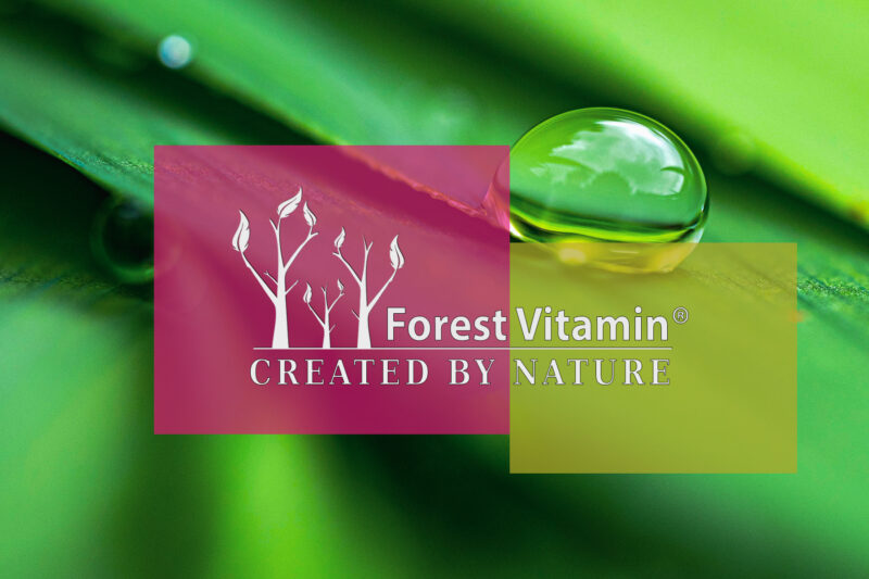 Forest Vitamin® Naturalna Witamina E 400 iu - 100 Kapsułek Softgel - obrazek 4