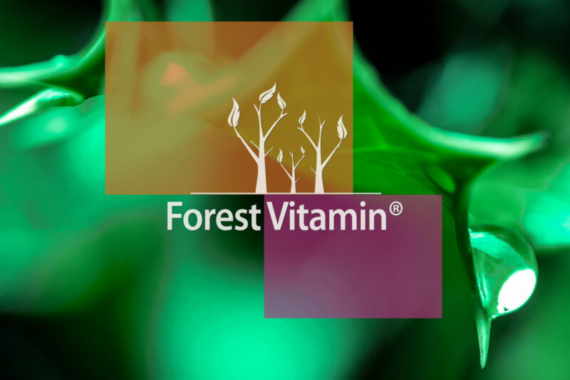 Forest Vitamin® 100% L-Carnitine 1000 mg – 250 grams in Powder Form - Image 10