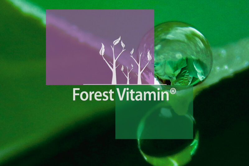 Forest Vitamin® Chaste Tree Extract 500 mg - 100 Capsules - Image 10