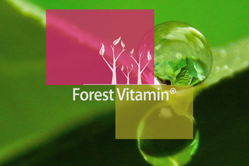 Forest Vitamin® Naturalna Witamina E 400 iu - 100 Kapsułek Softgel - obrazek 11